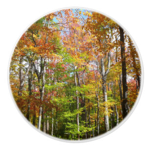 Herbstwald II Herbstlandschaftsfotografie Keramikknauf