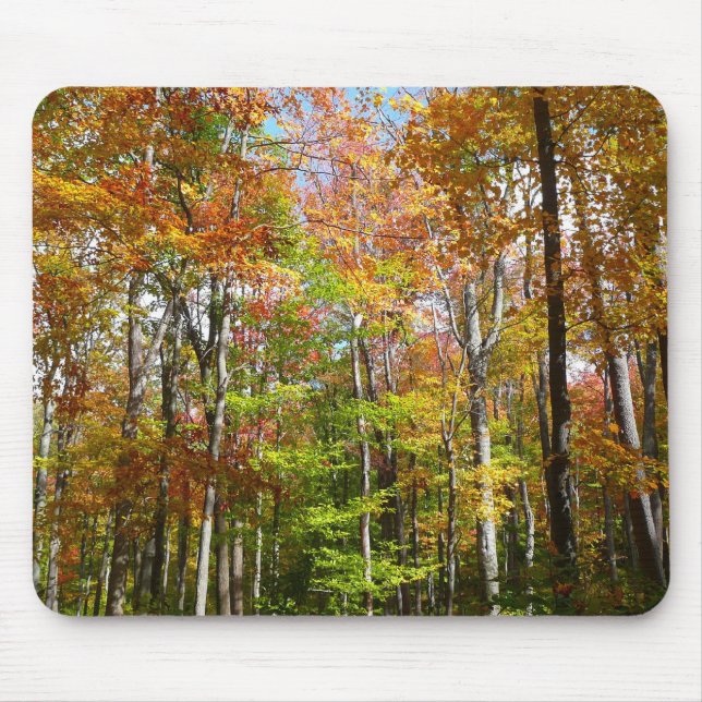 Herbstwald II Herbstlandschaftsfotografie Mousepad (Vorne)