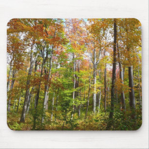 Herbstwald II Herbstlandschaftsfotografie Mousepad