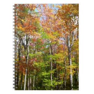 Herbstwald II Herbstlandschaftsfotografie Notizblock