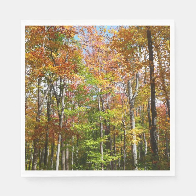 Herbstwald II Herbstlandschaftsfotografie Serviette (Vorderseite)