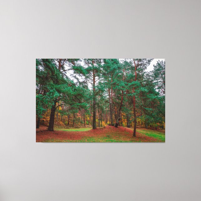 Herbstwald Leinwanddruck (Vorderseite)