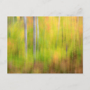 Herbstwald   Michigan, Oberhalb der Halbinsel Postkarte