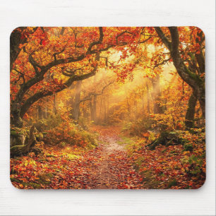 Herbstwald Mousepad