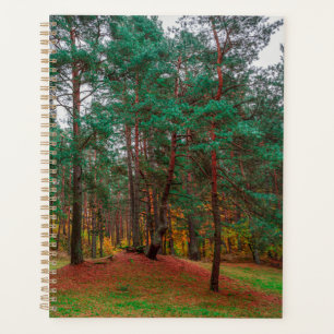 Herbstwald Planer
