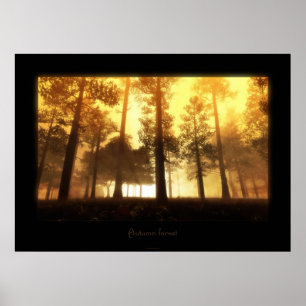 Herbstwald Poster