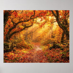 Herbstwald Poster