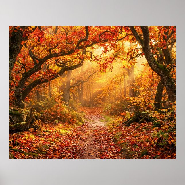 Herbstwald Poster (Vorne)
