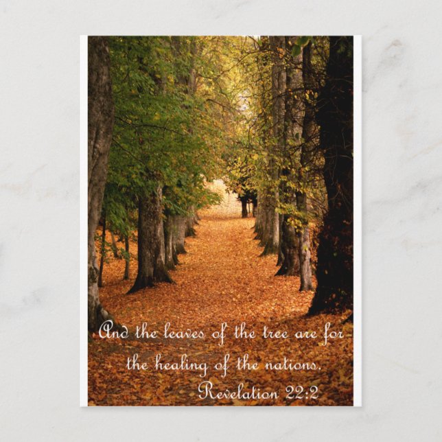 Herbstwald Postkarte (Vorderseite)