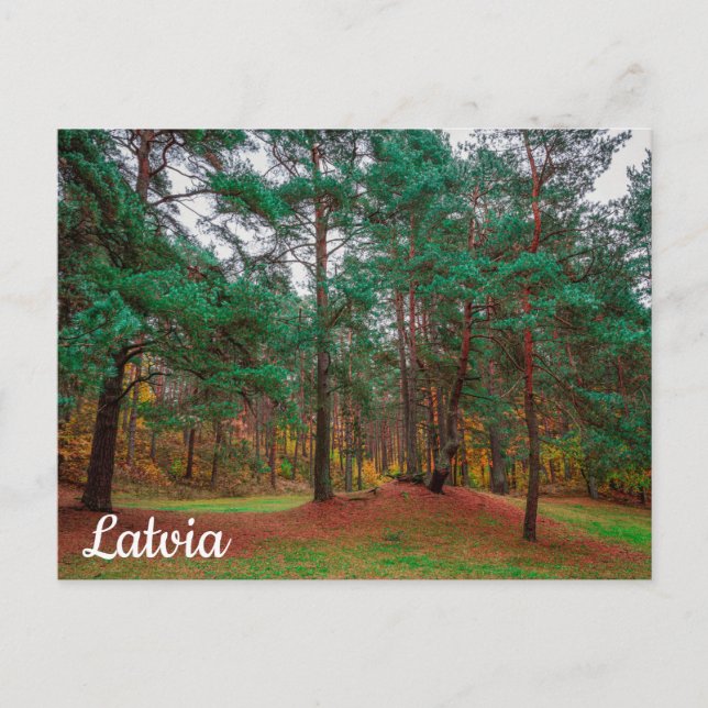 Herbstwald Postkarte (Vorderseite)