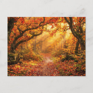 Herbstwald Postkarte