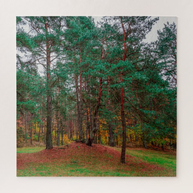 Herbstwald Puzzle (Vertikal)