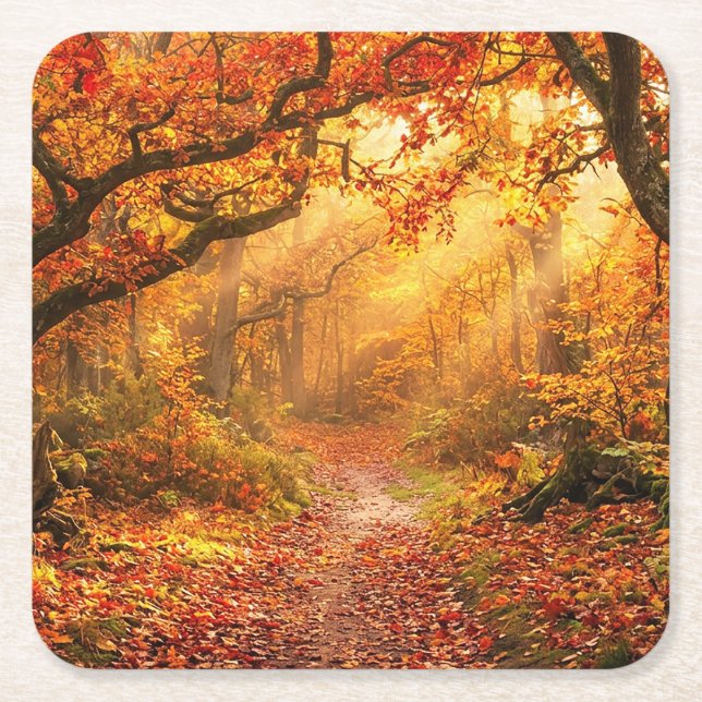 Herbstwald Rechteckiger Pappuntersetzer (Vorderseite)