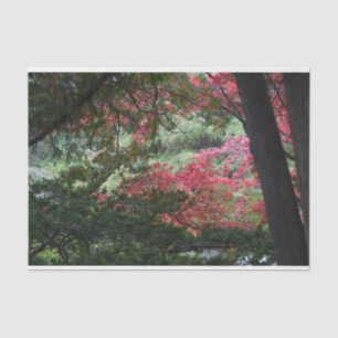 Herbstwald Seidenpapier