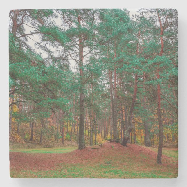 Herbstwald Steinuntersetzer (Vorderseite)