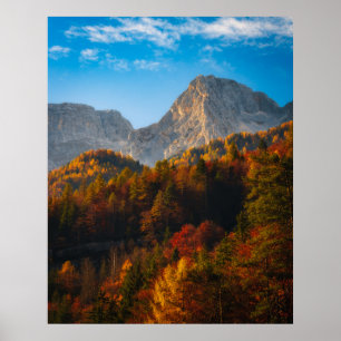 Herbstwald unterhalb der Berge Poster