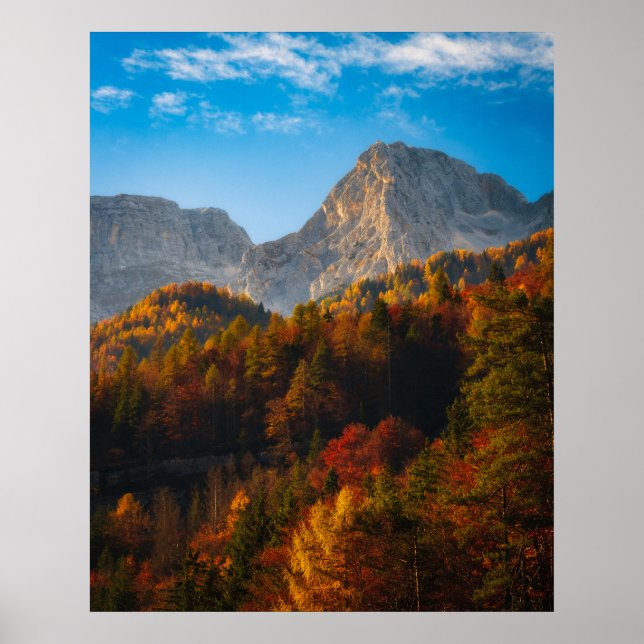 Herbstwald unterhalb der Berge Poster (Vorne)