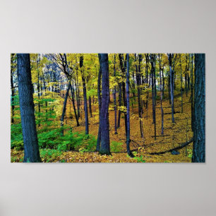 Herbstwald, West Bend, Wisconsin Poster