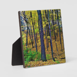 Herbstwald, Westbend, Wisconsin Fotoplatte