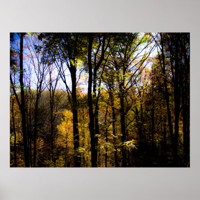 Herbstwälder Poster (Vorne)