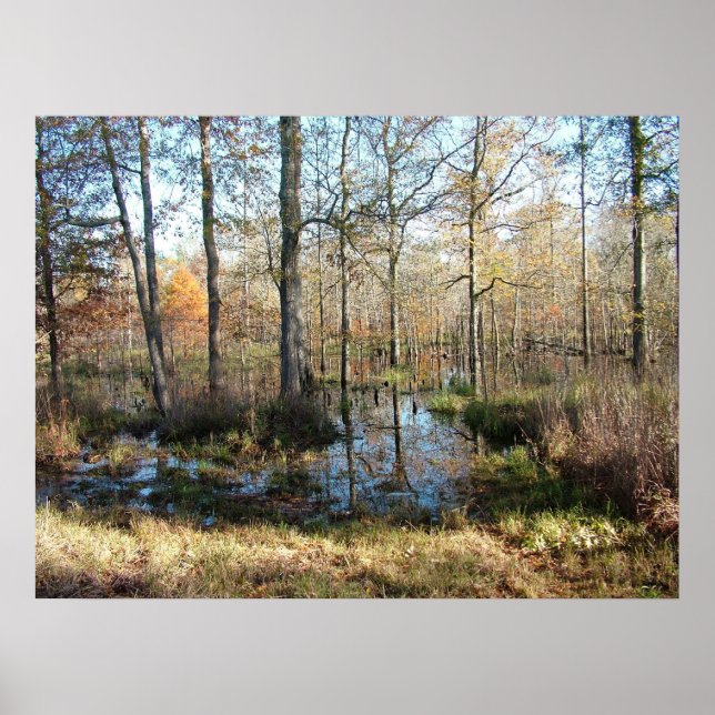 Herbstwälder Poster (Vorne)