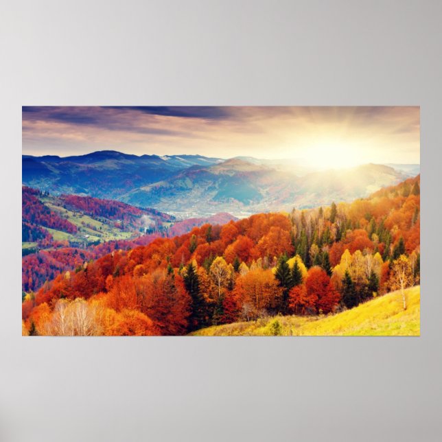 Herbstwaldlandschaft Poster (Vorne)