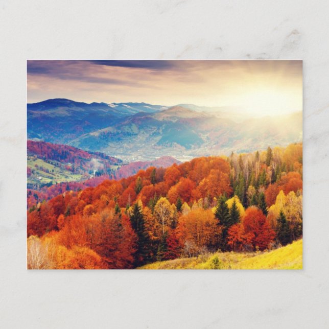 Herbstwaldlandschaft Postkarte (Vorderseite)