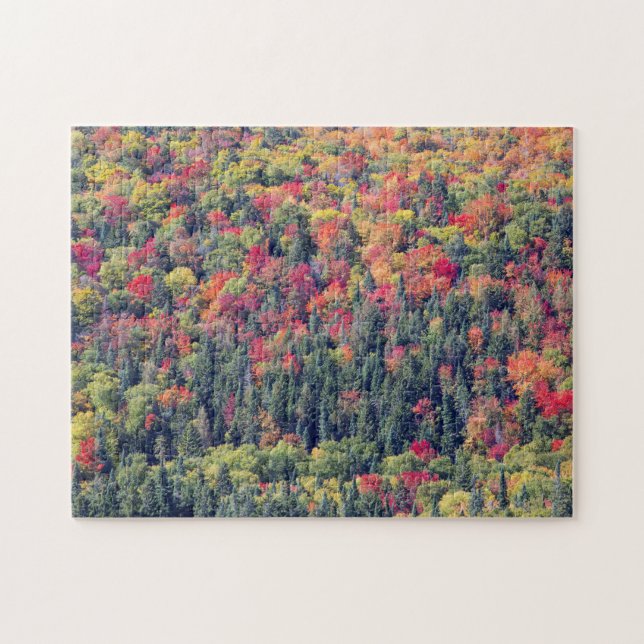 Herbstwaldlandschaft Puzzle (Horizontal)