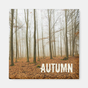 Herbstwaldnebel und Nebelfallsaison Magnet
