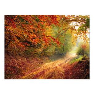 Herbstwaldstrecke Fotodruck