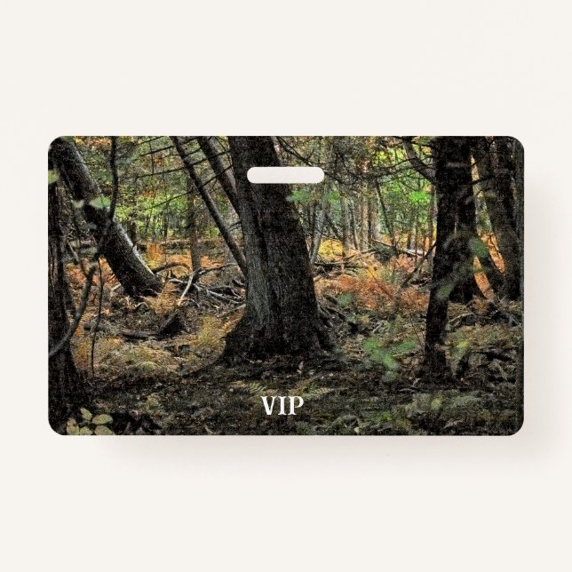 Herbstwaldszene Ausweis (Vorderseite)