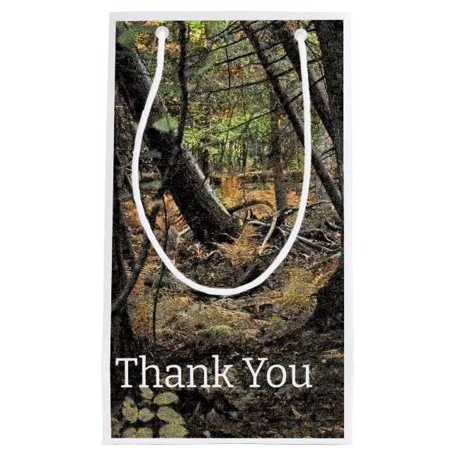 Herbstwaldszene Kleine Geschenktüte (Vorderseite)