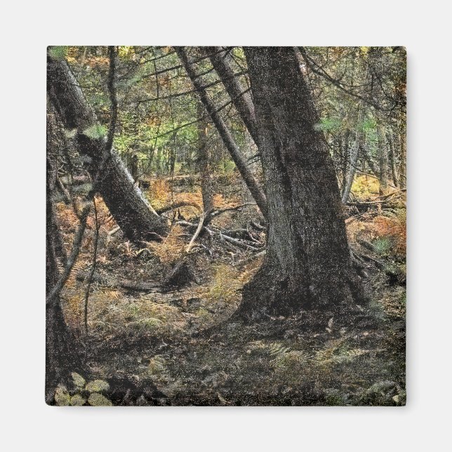 Herbstwaldszene Magnet (Vorne)