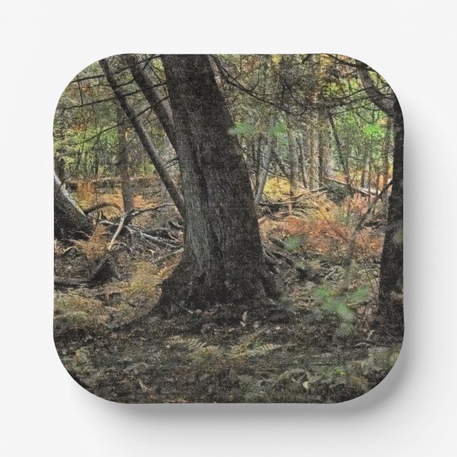 Herbstwaldszene Pappteller (Vorderseite)