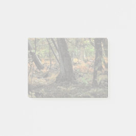 Herbstwaldszene Post-it Klebezettel