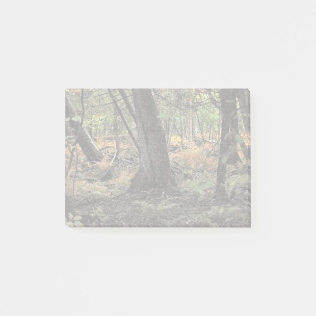 Herbstwaldszene Post-it Klebezettel (Vorderseite)