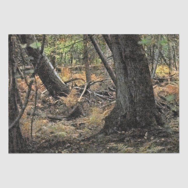 Herbstwaldszene Seidenpapier (Vorderseite)