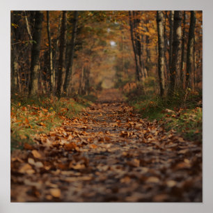 Herbstwaldweg Poster