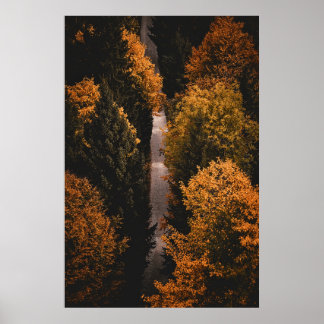 Herbstwaldweg Poster