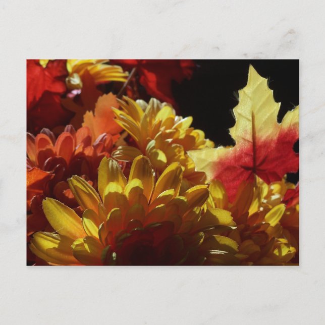 Herbstwärme Postkarte (Vorderseite)