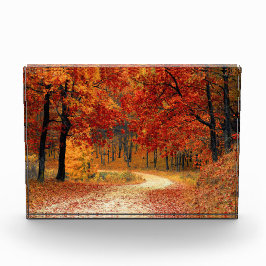 Herbstweg durch die Bäume Fotoblock