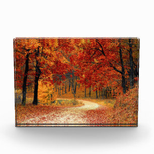 Herbstweg durch die Bäume Fotoblock