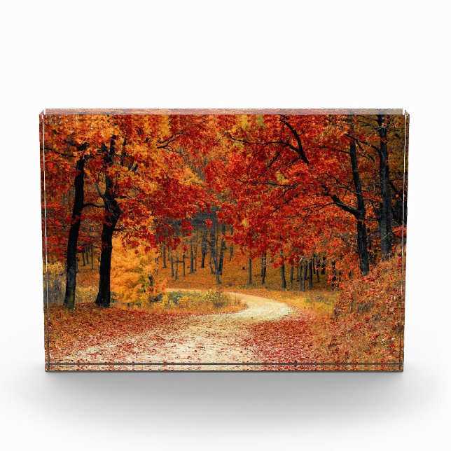 Herbstweg durch die Bäume Fotoblock (Vorderseite)