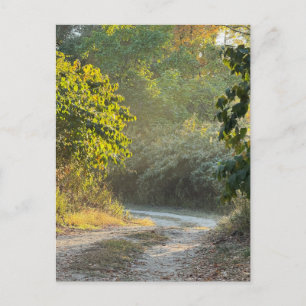 Herbstweg Foto Postkarte