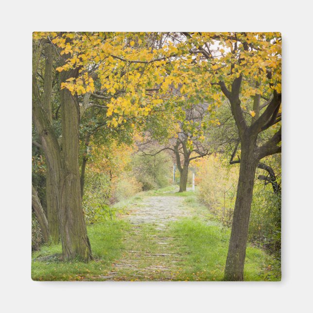Herbstweg Magnet (Vorne)