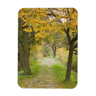Herbstweg Magnet
