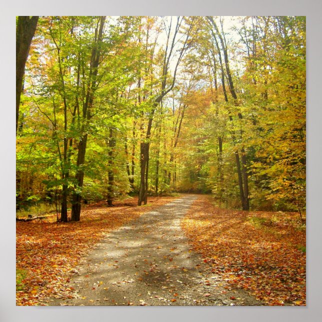 Herbstweg Poster (Vorne)