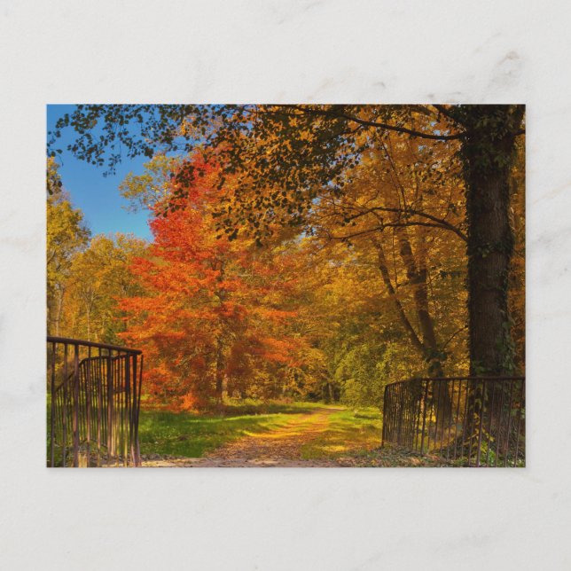 Herbstweg Postkarte (Vorderseite)