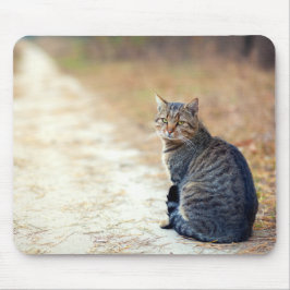 Herbstweg Tabby Mousepad