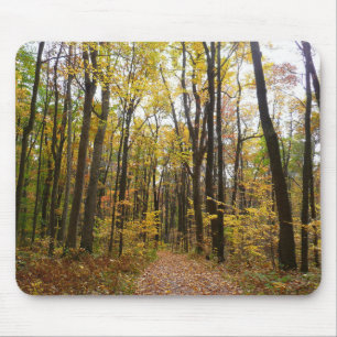 Herbstweg und Golden Blätter im Laurel Hill Park Mousepad